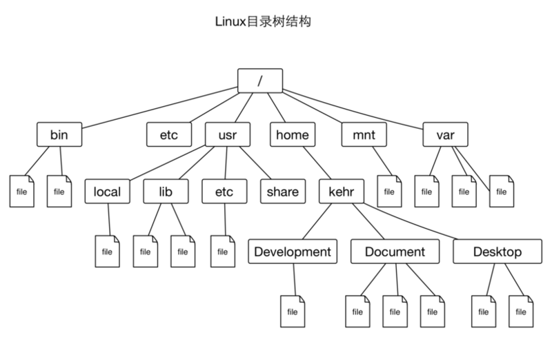 Linux 目录树结构